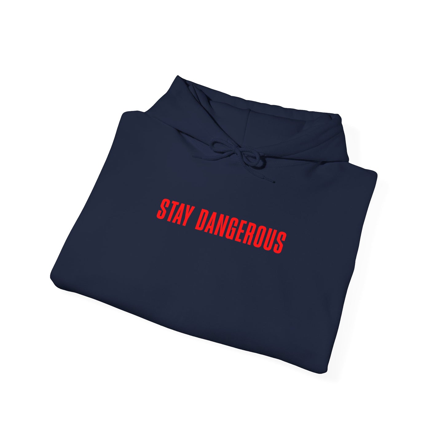 Stay Dangerous Unisex Hoodie – Bold Streetwear