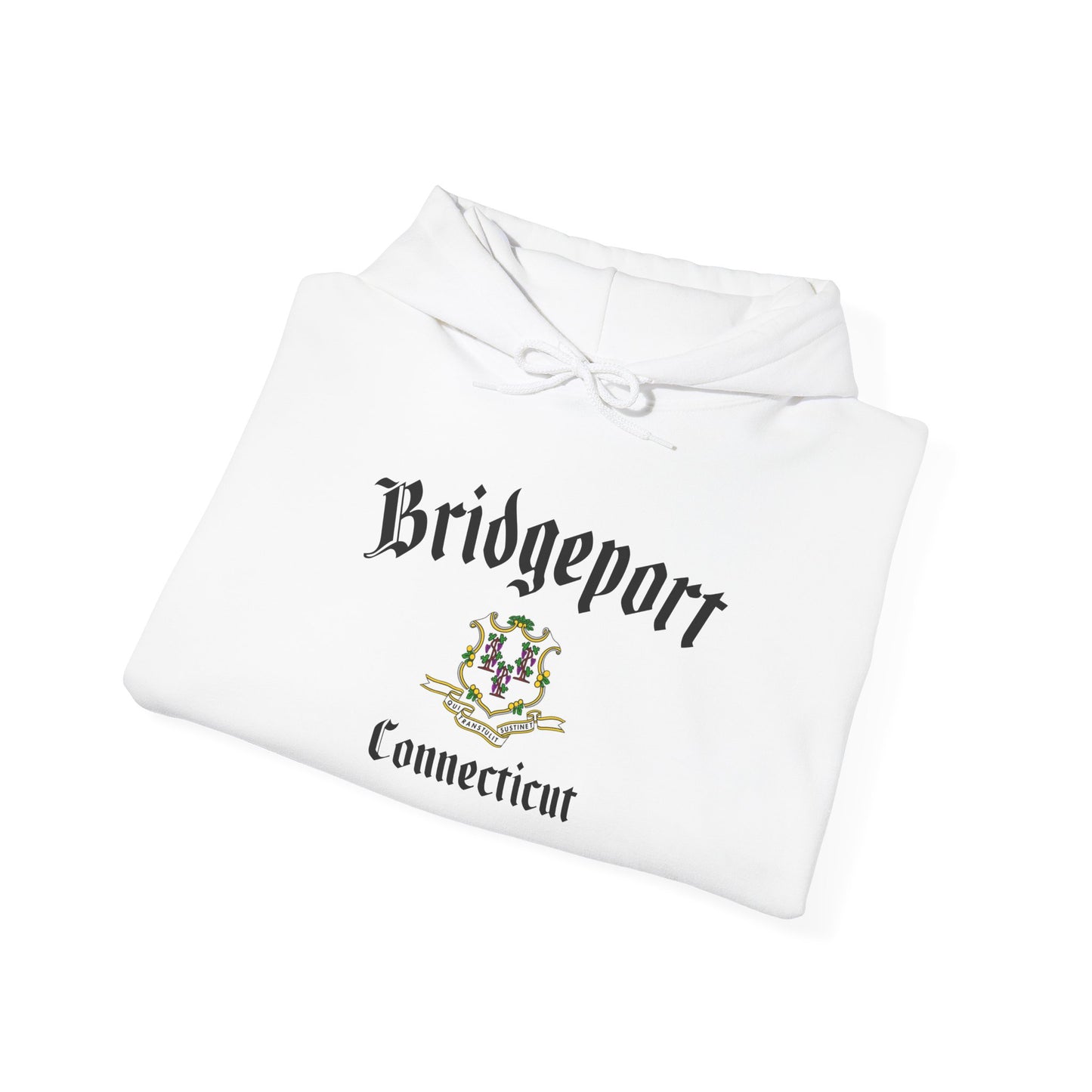 Bridgeport CT Varsity Hoodie – City Pride