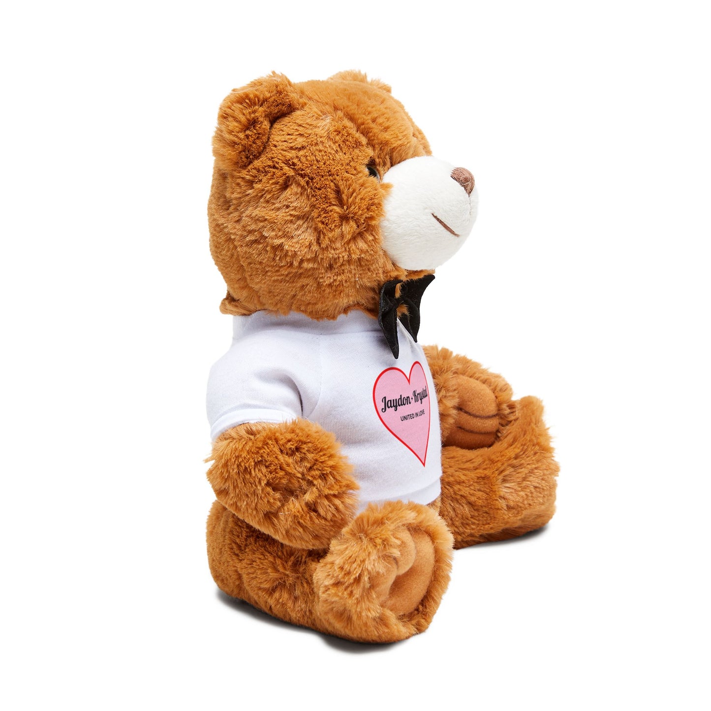 United in Love Teddy Bear with T-Shirt