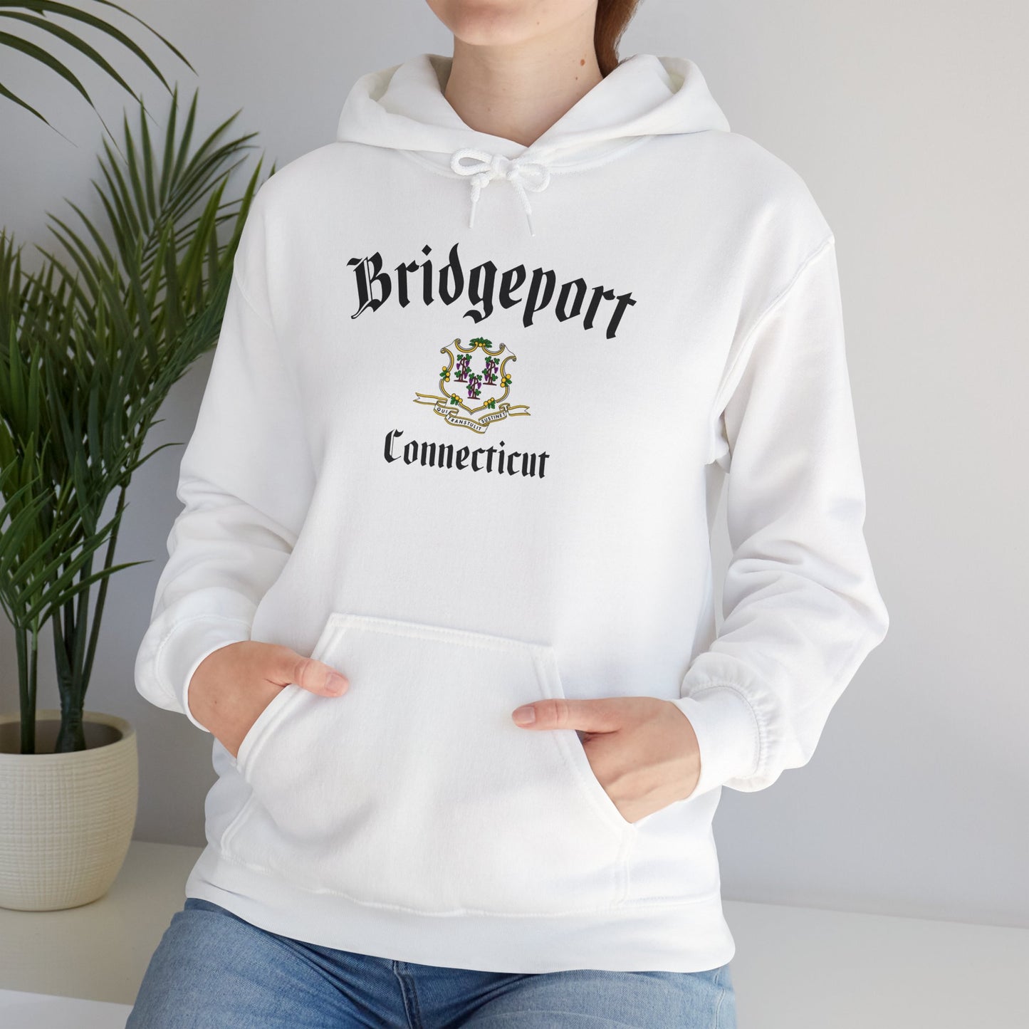 Bridgeport, Connecticut Hooded Sweatshirt