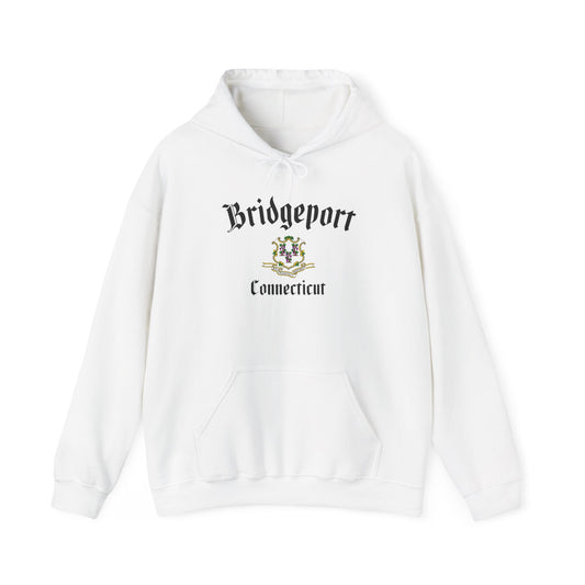 Bridgeport Unisex Heavy Blend™ Hooded Sweatshirt