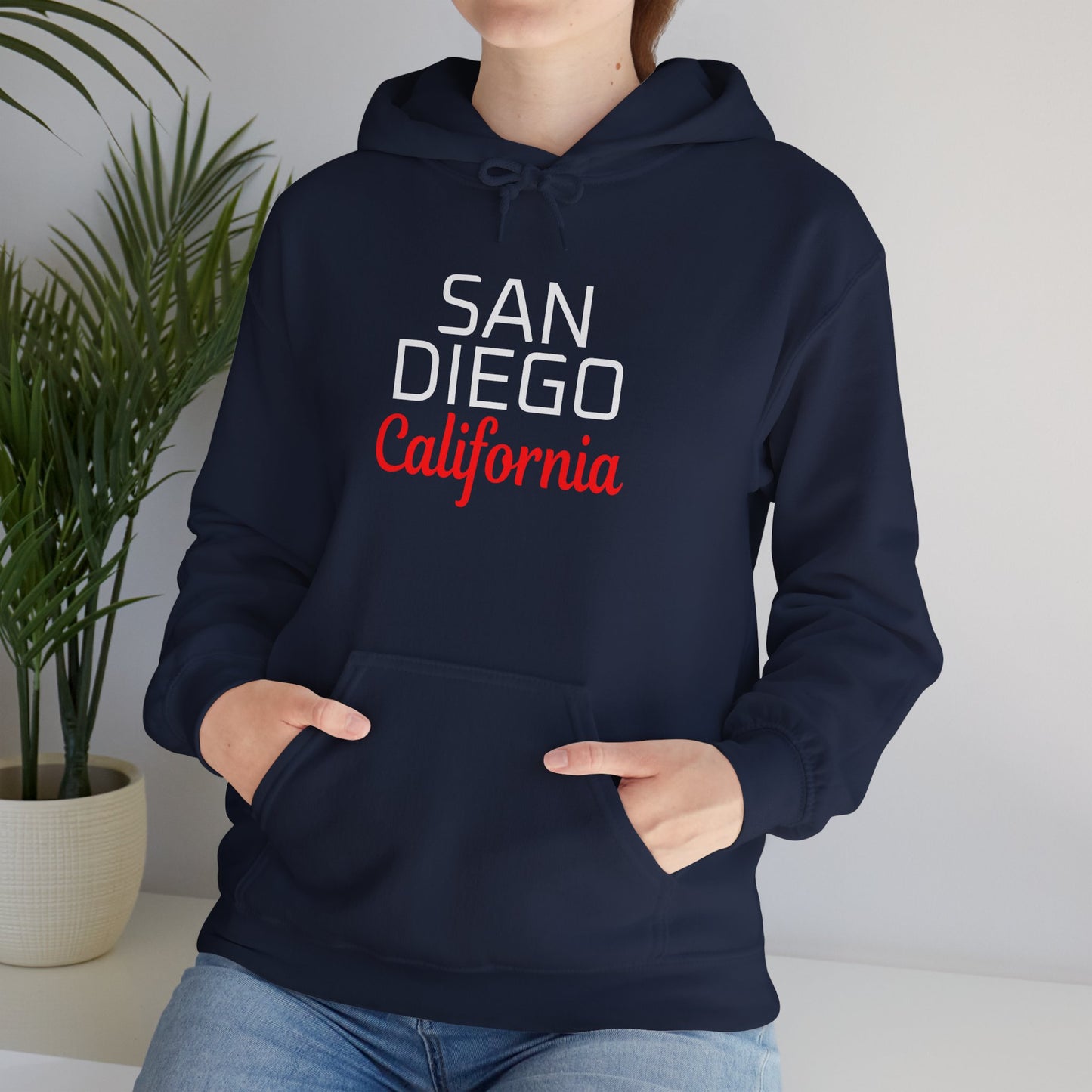San Diego California Retro City Text Premium Hoodie