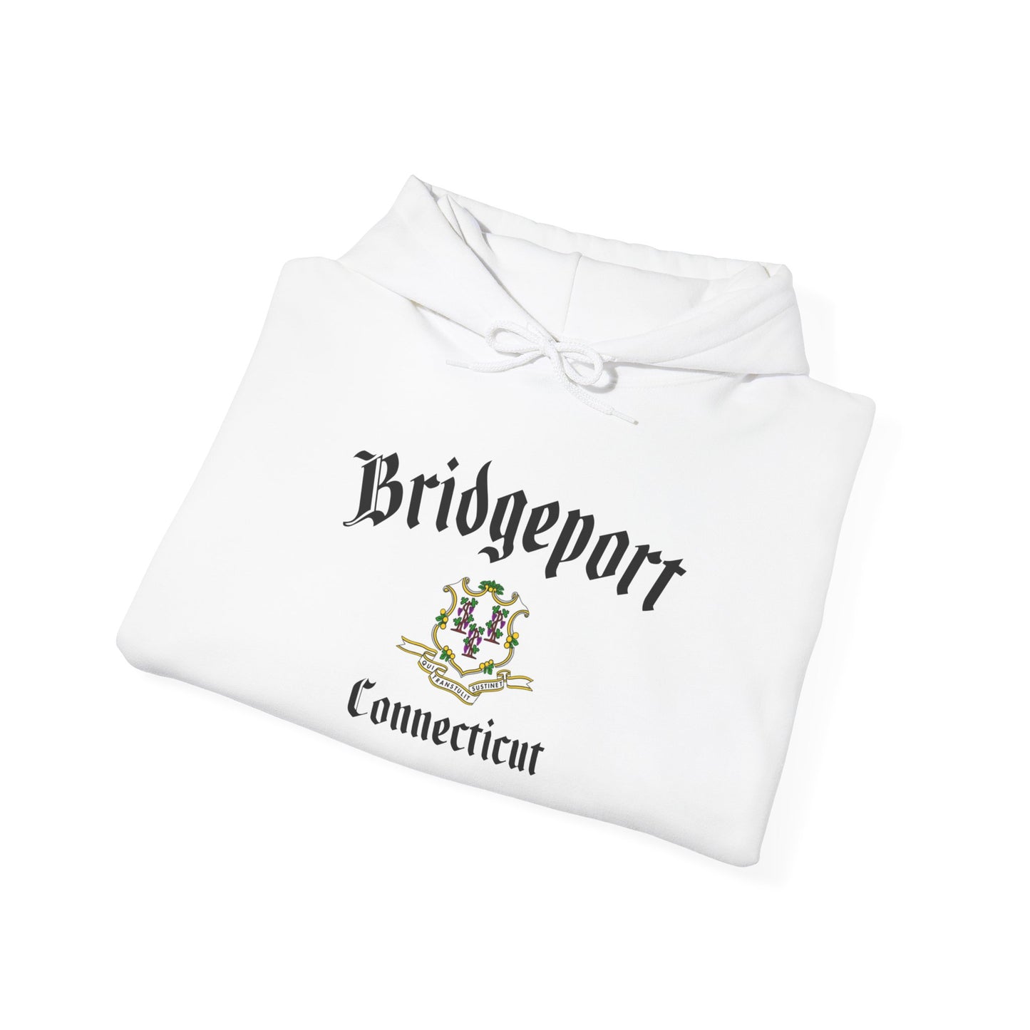 Bridgeport Unisex Heavy Blend™ Hooded Sweatshirt