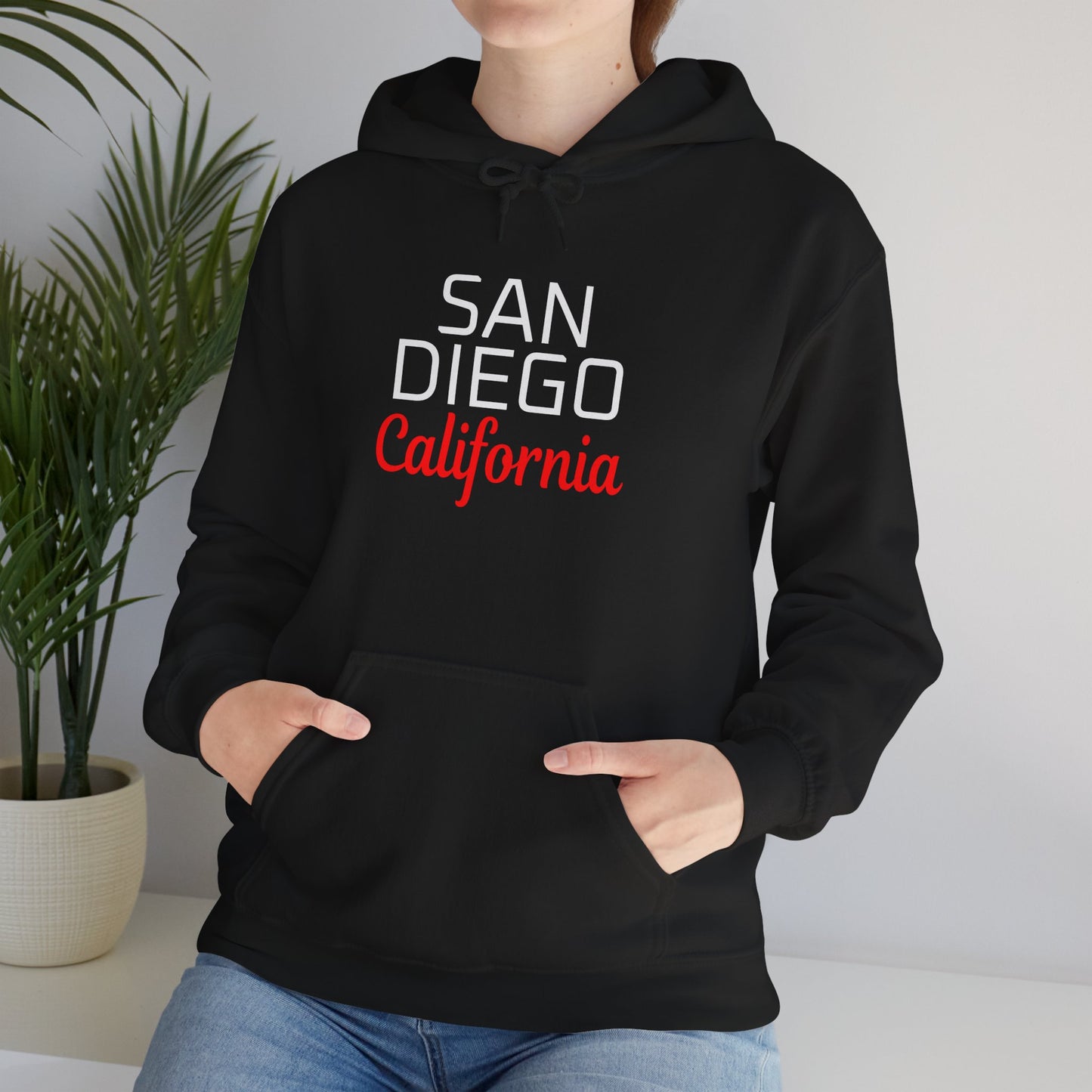 San Diego California Retro City Text Premium Hoodie