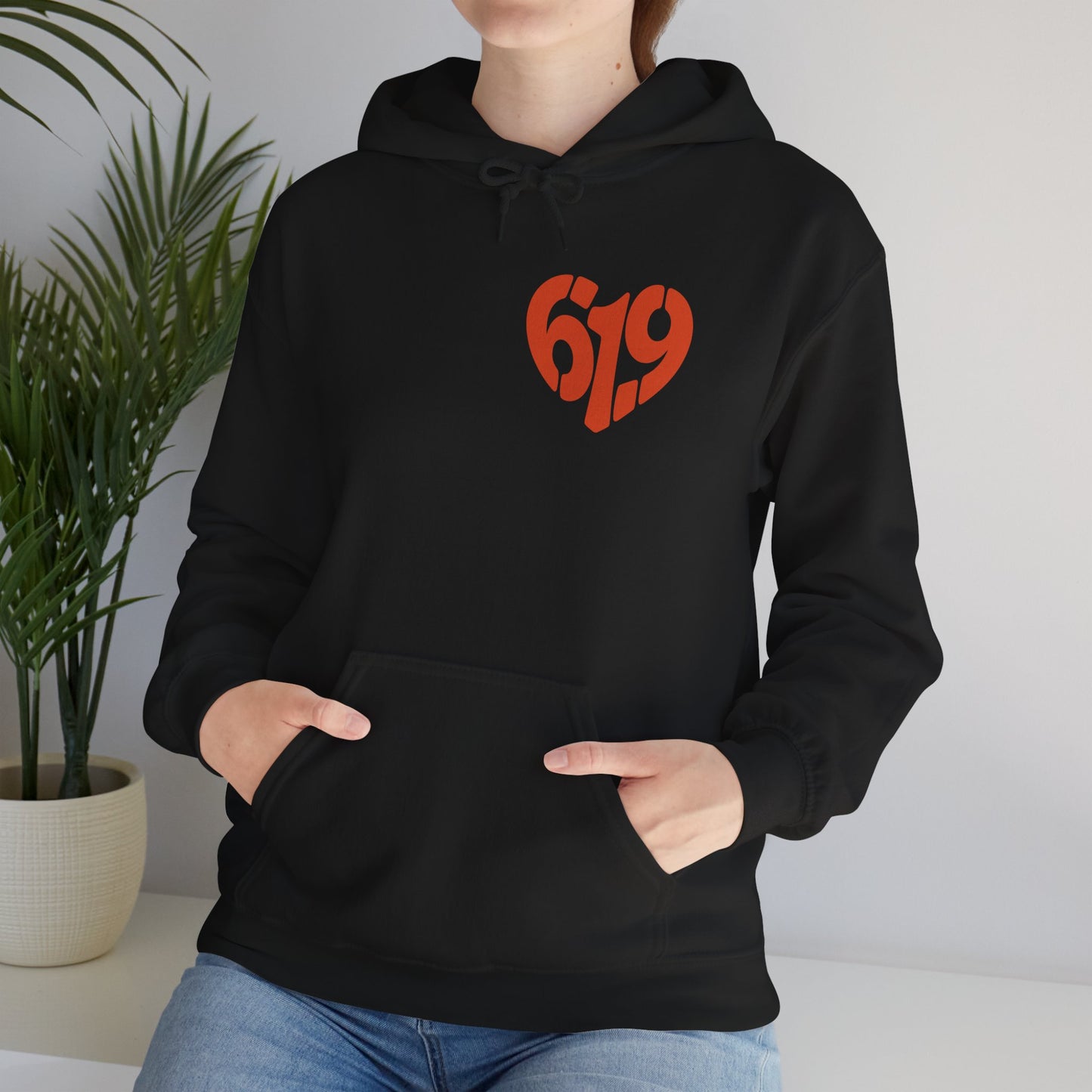 619 Heart San Diego Area Code Premium Hoodie