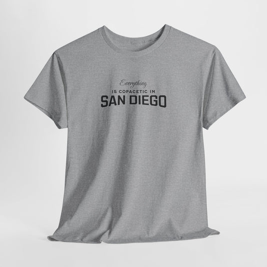 Gray t-shirt with text 'Everything is copacetic in San Diego' on a light gray background