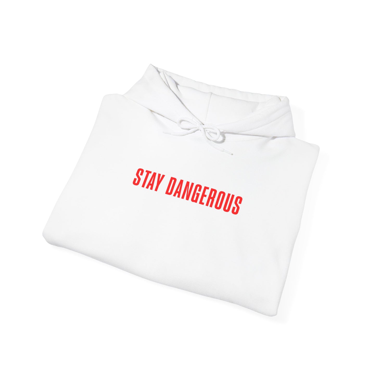 Stay Dangerous Unisex Hoodie – Bold Streetwear