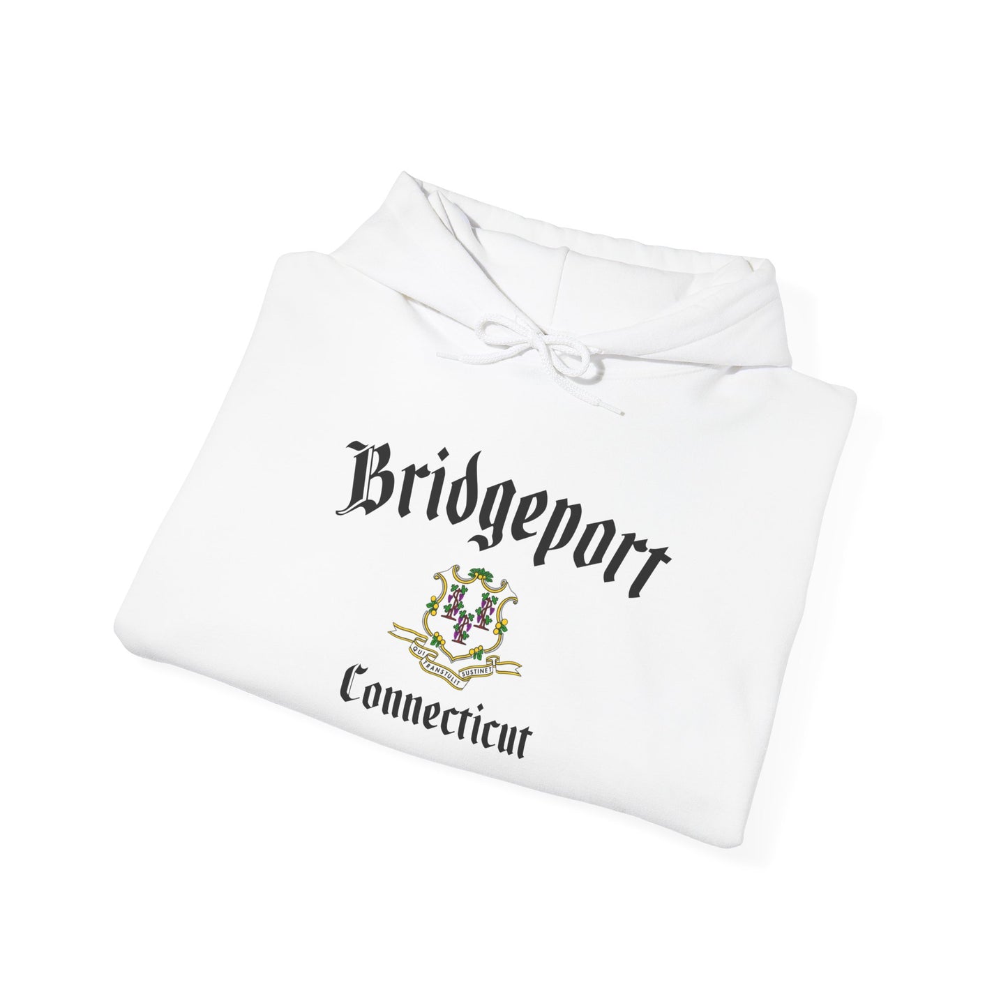 Bridgeport, Connecticut Hooded Sweatshirt