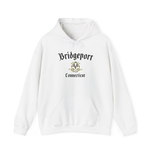 Bridgeport CT Varsity Hoodie – City Pride