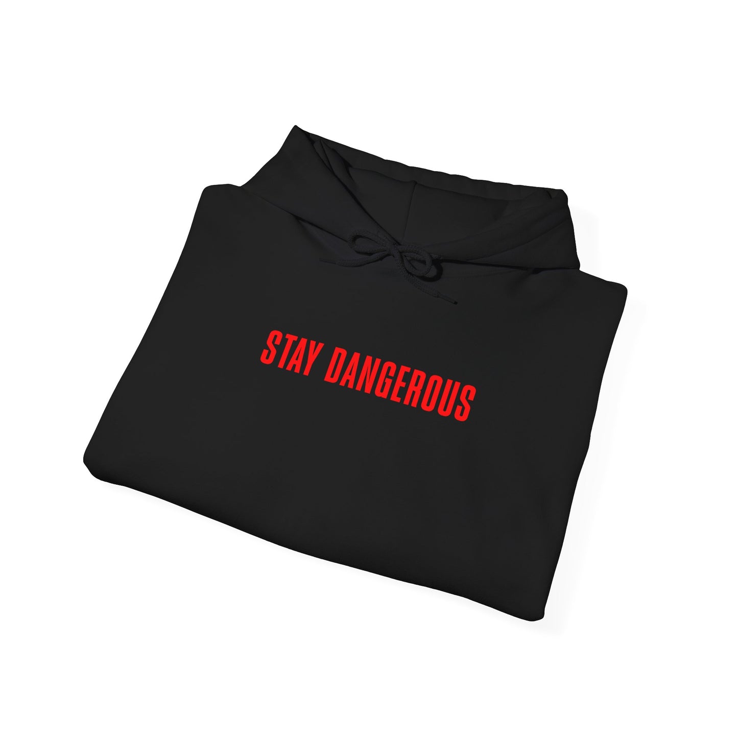 Stay Dangerous Unisex Hoodie – Bold Streetwear